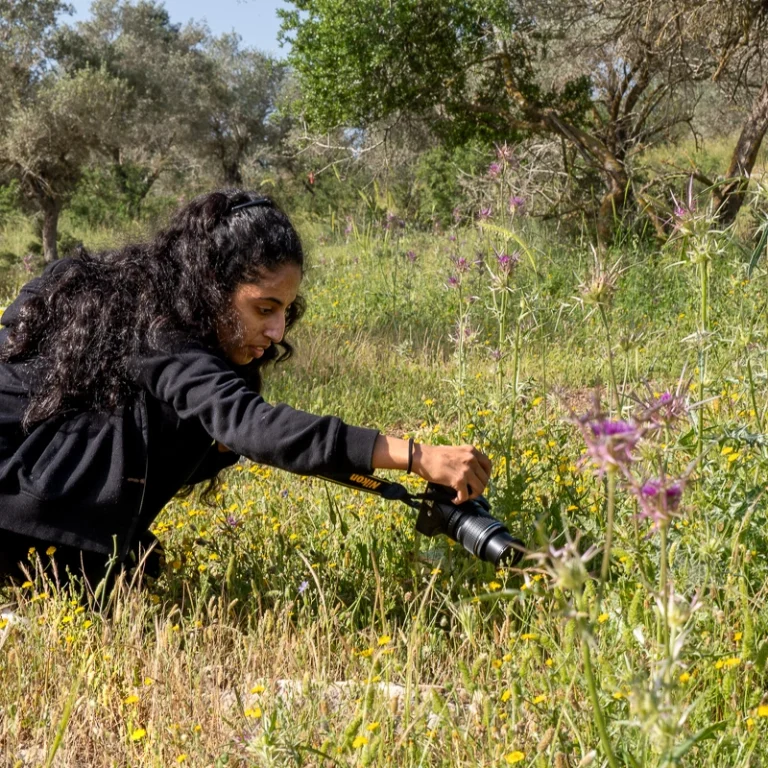סיור צילום מקרו