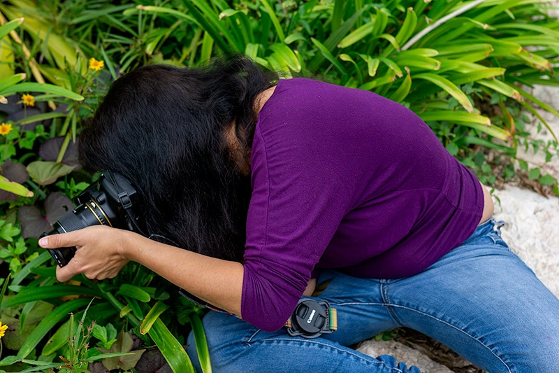 קורס-צילום-בתל-אביב--סיור-צילום-בגן-הטרופי