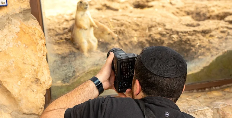 קורס צילום למתחילים בירושלים – משתתף מצלם מרמיטה בגן החיות