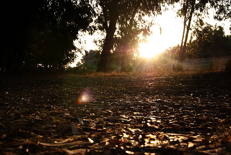 גן לאומי נחל סורק
