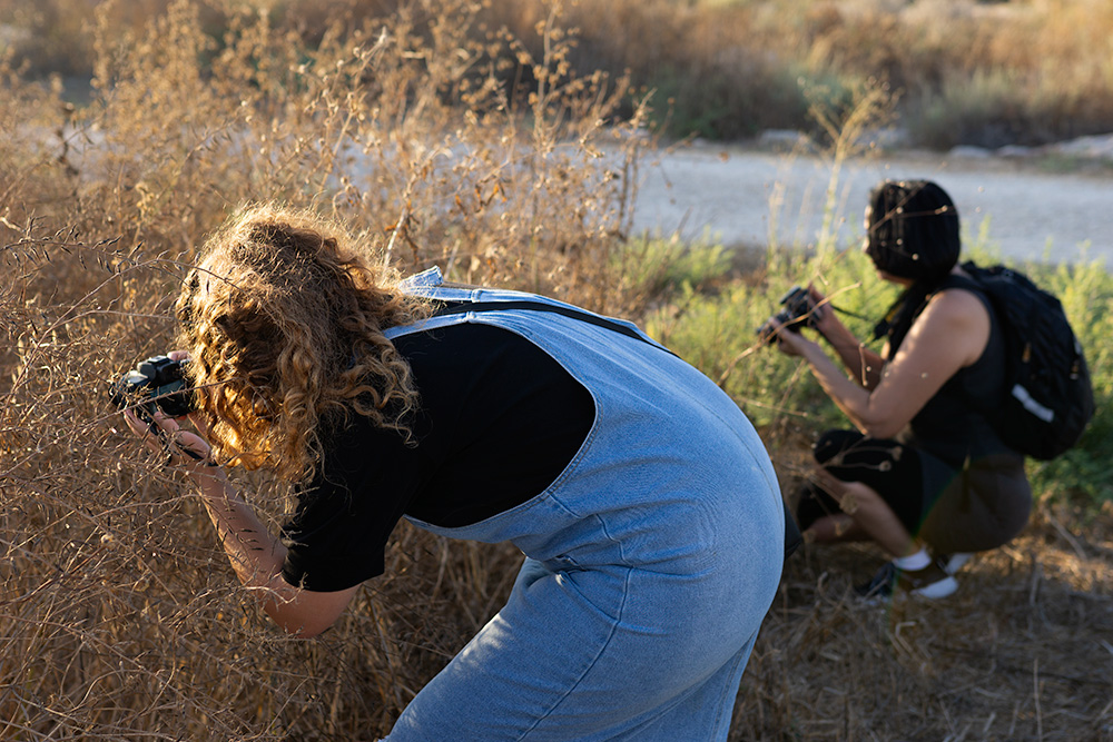 גבעת-התיתורה-במודיעין
