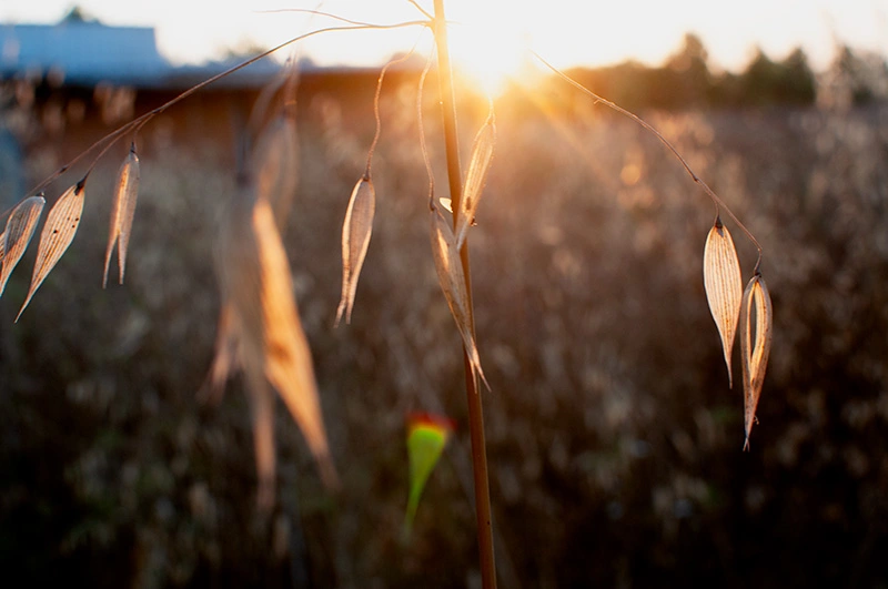 חוג צילום במודיעין – צילום טבע בגבעת התיתורה