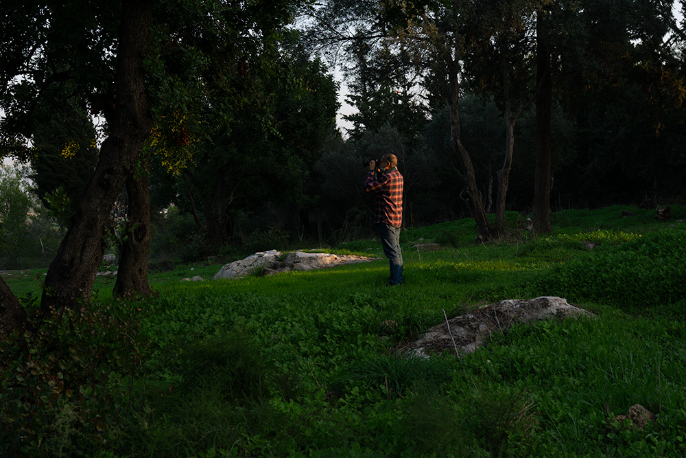 יער-בן-שמן--לוקיישן-מומלץ-לצילום