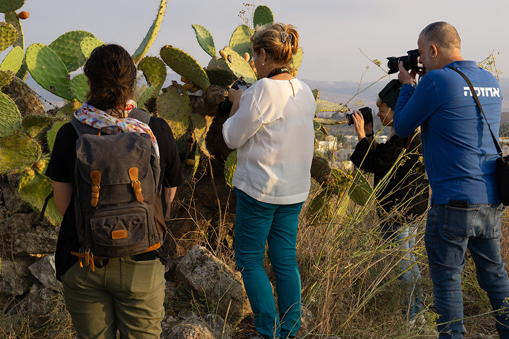 לוקיישנים-מומלצים-לצילום-במודיעין---גבעת-התיתורה