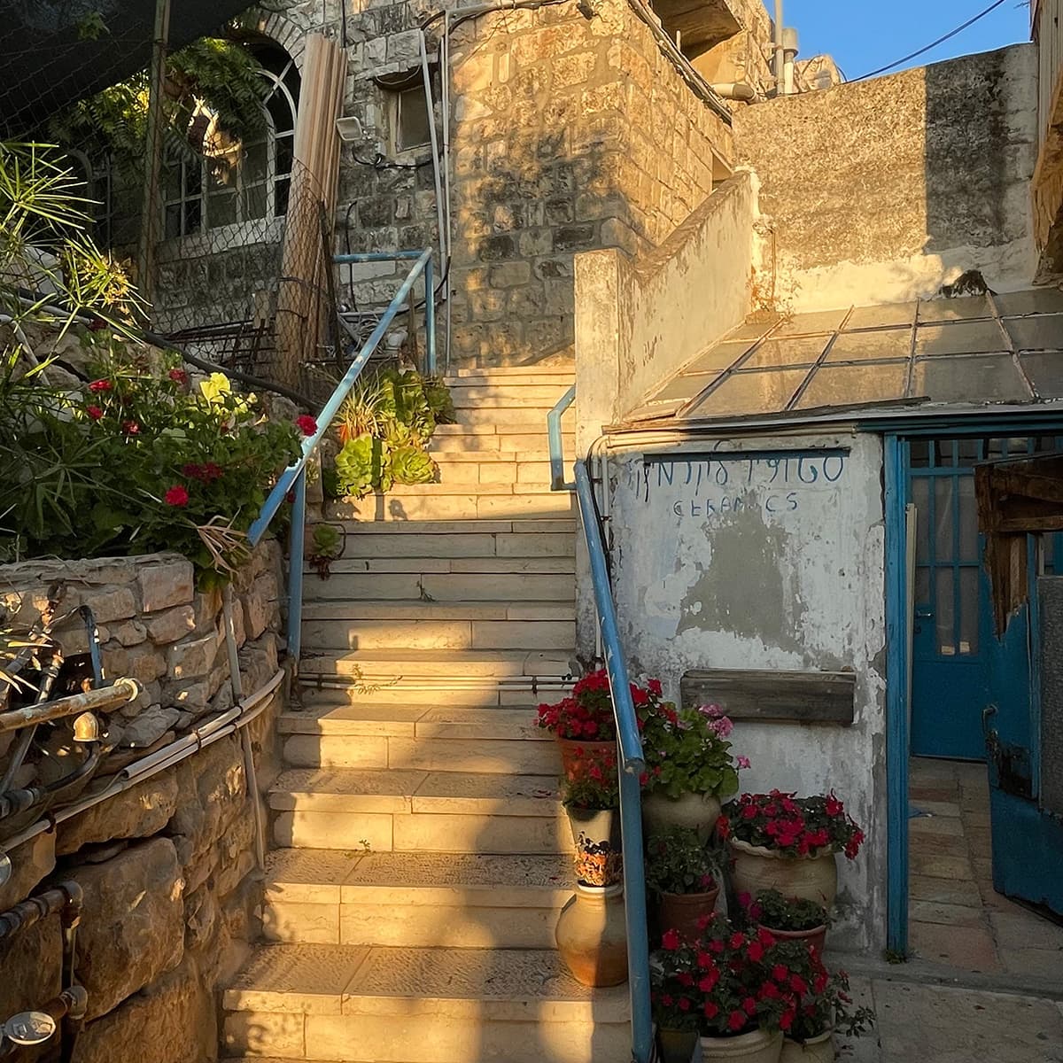 מדרגות עם עציצים בעין כרם