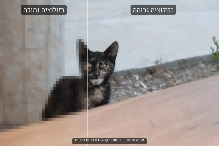 השוואת רזולוציה בצילום — תמונת חתול חדה מול מפוקסלת