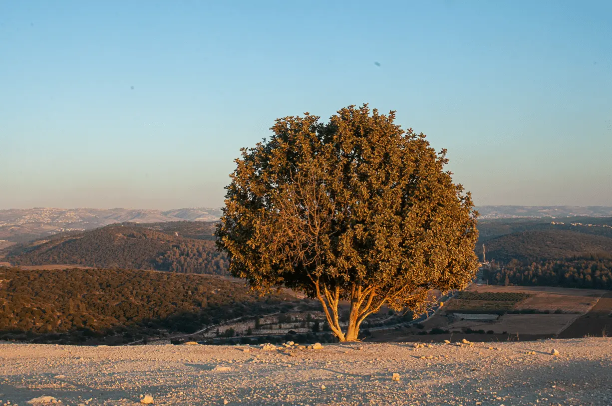 צילום נוף בעומק שדה מלא